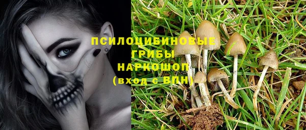 винт Аркадак