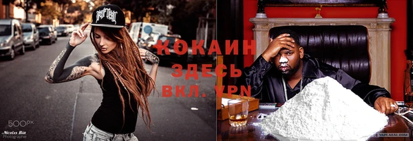 соль ск Алексеевка