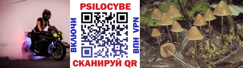 Псилоцибиновые грибы прущие грибы Куровское